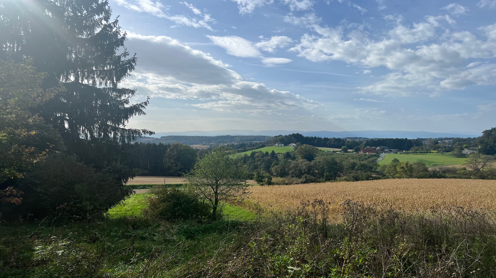 Baugrundstück Allerheiligen